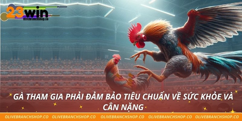 Luật Chơi Đá Gà Từ A Đến Z Bạn Nhất Định Không Nên Bỏ Qua Gà tham gia phải đảm bảo tiêu chuẩn về sức khỏe và cân nặng