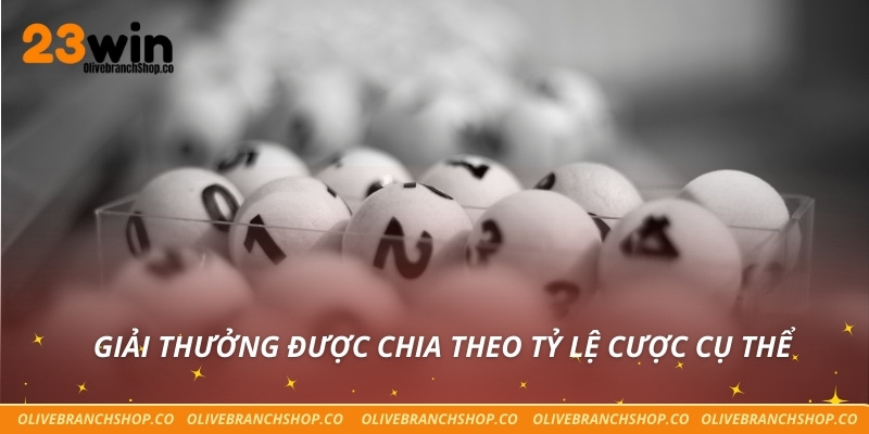 Rồng Bạch Kim Ở 23win – Bước Đột Phá Trong Xổ Số Trực Tuyến Giải thưởng được chia theo tỷ lệ cược cụ thể