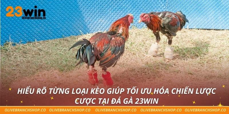 Đá gà 23win Hiểu rõ từng loại kèo giúp tối ưu hóa chiến lược cược tại đá gà 23win