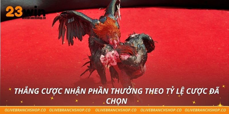 Đá gà 23win Thắng cược nhận phần thưởng theo tỷ lệ cược đã chọn
